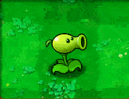 ������˹������  